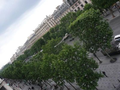 avenue