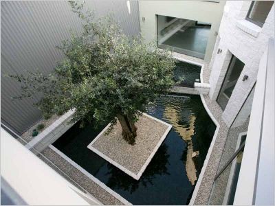 Patios int�gr�s