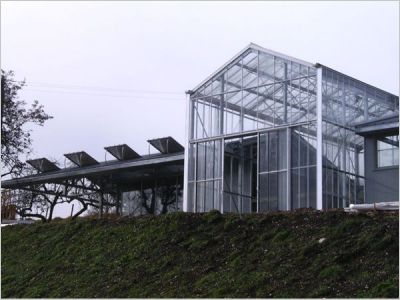 casaluce