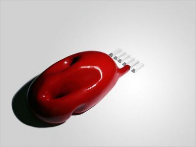Nova Ark