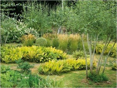 Jardin de l'ann�e 2012