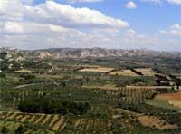 Les Alpilles class�es parc naturel r�gional