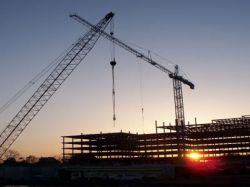 grue