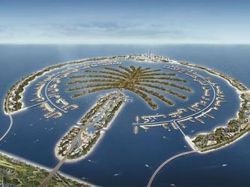 Nakheel palmier