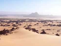 sahara