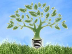 �nergie - environnement