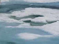 arctique