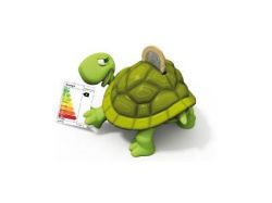 tortue