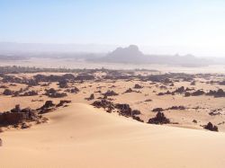 sahara