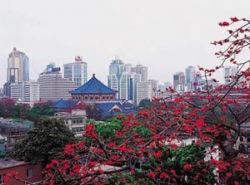 chine