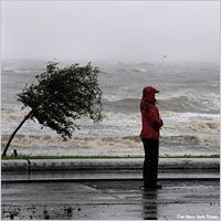Gustav fait la pluie et le beau temps� sur l��conomie mondiale