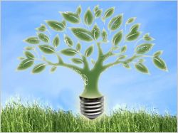 �nergie - environnement