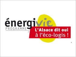 Energivie
