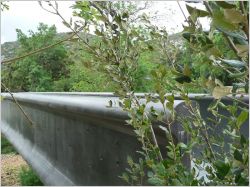 passerelle des anges