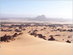 sahara