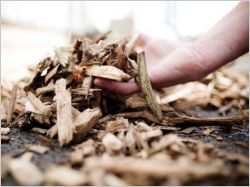 combustibles biomasse seches