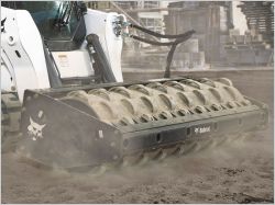 bobcat