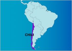 chili