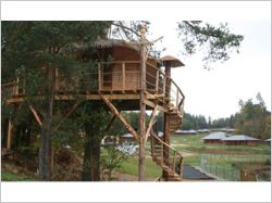 cabane en l'air