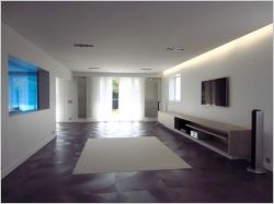 Maison 500 m� Nogent sur Marne