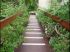 Escalier ext�rieur