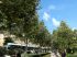 Le parc
