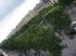 Champs-Elys�es de Paris
