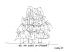 Frank Gehry 