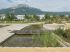 Jardin de centre-ville