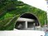 Pont