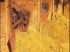 Fours � ocres au Br�sil