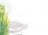 3�me prix : Le ch�ne ou le roseau. B�ryl Monnot et Julien Sage-Thomas. ENSA Paris-Malaquais
