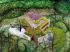 Villa J�Ecoluxury
