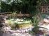 Epuration phyto-sanitaire