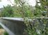 Une passerelle fine