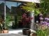 Esquisse du jardin