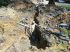 Huit forages ont �t� n�cessaires