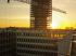 Grue