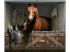 Cheval