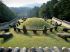 Tombes royales de la dynastie Joseon
