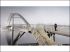 Passerelle des Trois Pays