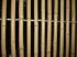 Bambou non trait�