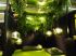VEGETAL ATMOSPHERE & TRECOIRE DESIGN