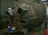 fabrication de c�nes chez Taillefer