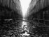 D�chets sur l'eau