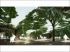 Entr�e du parc