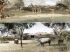 Savane africaine