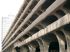 Temple Street, New Haven, Etats-Unis, 1959- 1963