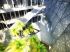 Int�rieur vu d'en haut