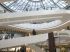 Jeux d'escalators